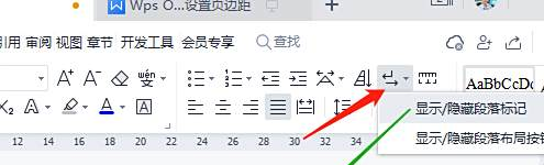 WPS 文字隐藏功能与避坑指南